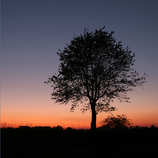 foto/forum/2011/th-img18598.jpg