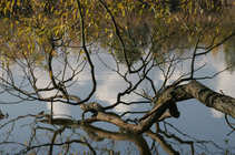 foto/forum/2011/th-img18602.jpg