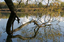 foto/forum/2011/th-img18603.jpg