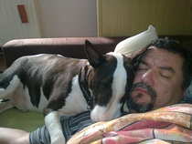foto/forum/2011/th-img18637.jpg