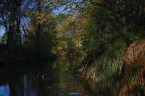 foto/forum/2011/th-img18640.jpg