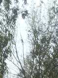 foto/forum/2011/th-img18641.jpg