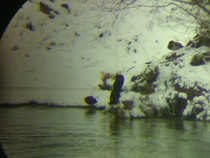 foto/forum/2011/th-img18646.jpg