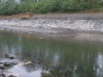 foto/forum/2011/th-img18661.jpg