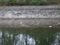 foto/forum/2011/th-img18662.jpg
