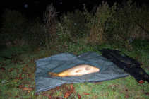 foto/forum/2011/th-img18667.jpg