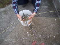 foto/forum/2011/th-img18678.jpg