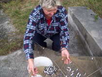 foto/forum/2011/th-img18679.jpg