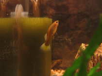 foto/forum/2011/th-img18685.jpg