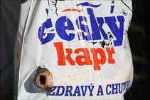 foto/forum/2011/th-img18693.jpg