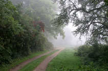 foto/forum/2011/th-img18708.jpg