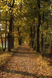 foto/forum/2011/th-img18712.jpg