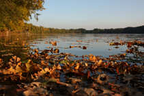 foto/forum/2011/th-img18713.jpg