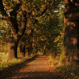 foto/forum/2011/th-img18714.jpg