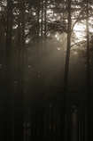 foto/forum/2011/th-img18718.jpg