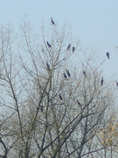foto/forum/2011/th-img18736.jpg