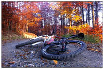 foto/forum/2011/th-img18756.jpg
