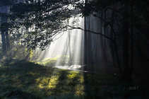 foto/forum/2011/th-img18767.jpg