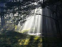 foto/forum/2011/th-img18768.jpg