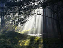 foto/forum/2011/th-img18769.jpg