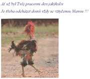 foto/forum/2011/th-img18794.jpg