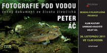 foto/forum/2011/th-img18804.jpg