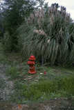foto/forum/2011/th-img18840.jpg