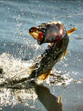 foto/forum/2011/th-img18853.jpg