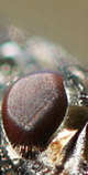 foto/forum/2011/th-img18859.jpg
