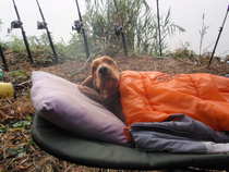 foto/forum/2011/th-img18862.jpg