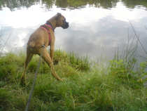 foto/forum/2011/th-img18866.jpg