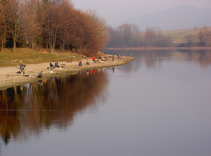 foto/forum/2011/th-img18871.jpg