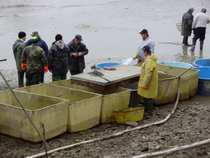 foto/forum/2011/th-img18898.jpg