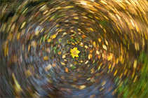 foto/forum/2011/th-img18925.jpg