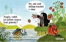 foto/forum/2011/th-img18950.jpg