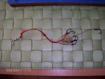 foto/forum/2011/th-img18976.jpg