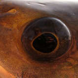 foto/forum/2011/th-img18987.jpg