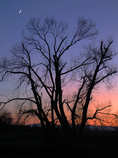 foto/forum/2011/th-img18989.jpg