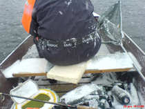 foto/forum/2011/th-img18993.jpg