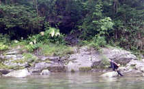 foto/forum/2011/th-img19011.jpg