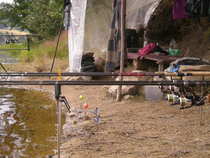 foto/forum/2011/th-img19106.jpg