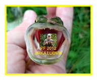 foto/forum/2011/th-img19130.jpg
