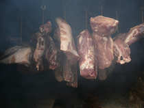foto/forum/2011/th-img19132.jpg