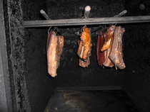 foto/forum/2011/th-img19134.jpg