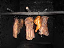 foto/forum/2011/th-img19135.jpg
