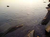 foto/forum/2011/th-img19150.jpg