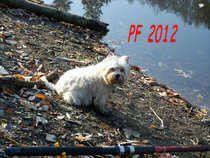 foto/forum/2011/th-img19180.jpg