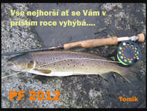 foto/forum/2011/th-img19198.jpg