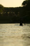 foto/forum/2011/th-img19278.jpg