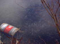 foto/forum/2011/th-img19285.jpg